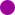 Purple Dot