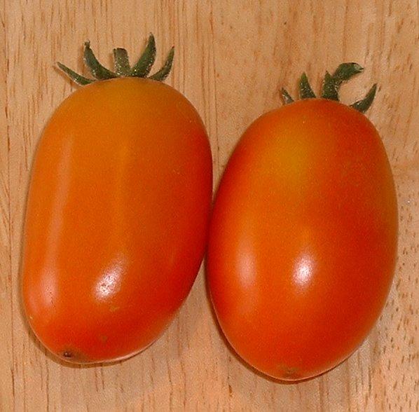 First tomatoes from the garden