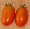 First tomatoes from the garden