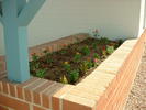Front Flower Bed