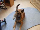 Puppy in the baby's room 10/10/2007
