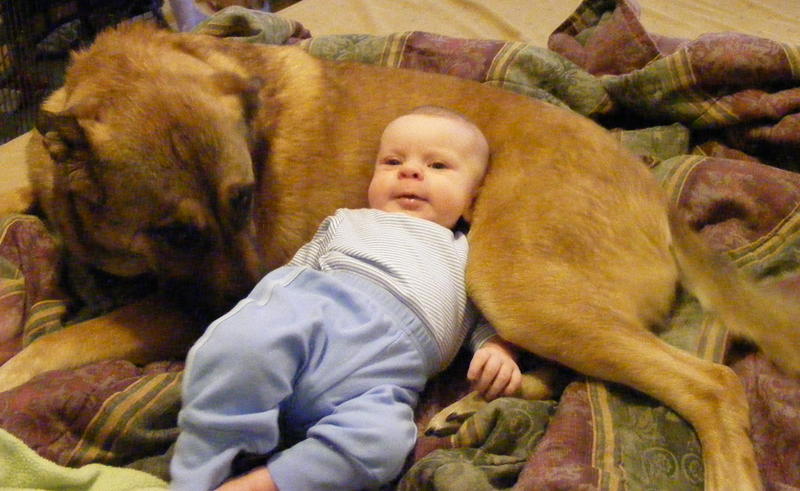 baby pillow!