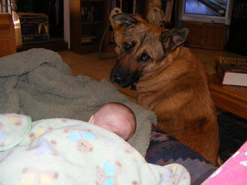 Hey, the baby's asleep