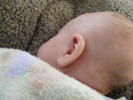 Ear