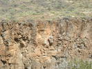 Eagles nest