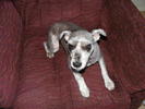 Bosley