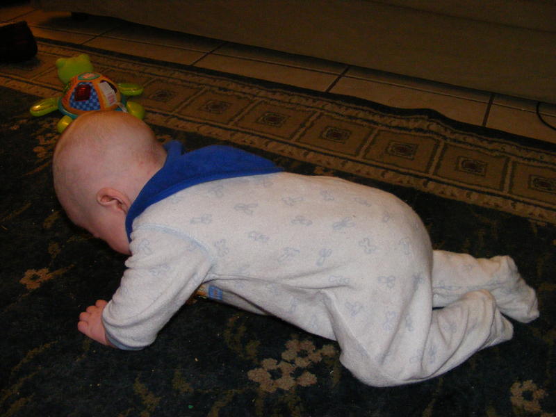 Up on all fours