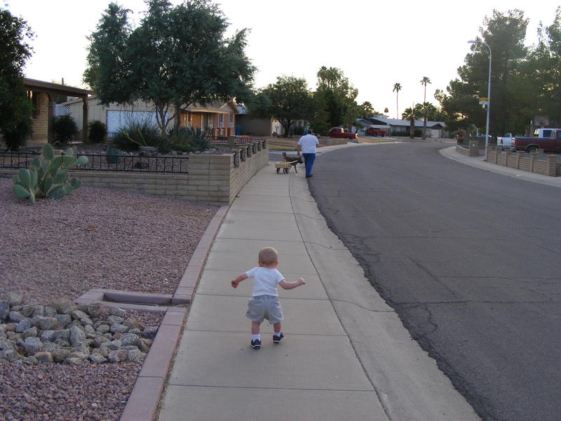 Hey puppy, wait for me!