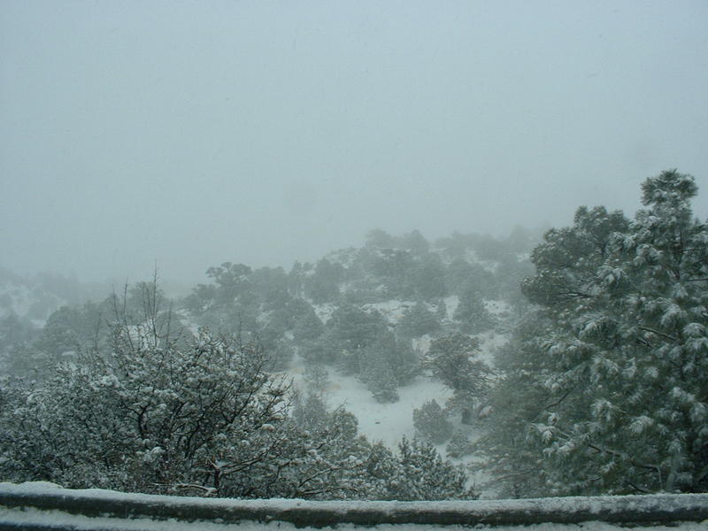 It snowed on the way up the I-17 towards Flagstaff