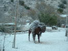 One of the statues on the grounds.