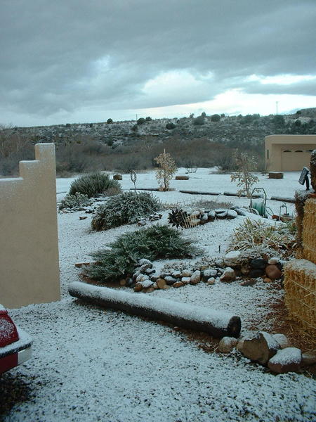 More of the grounds